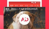 西瓜小视频,短视频时代的潮流盛宴