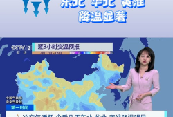 天气预报视频,视频解析今日气温、降水及风力状况”