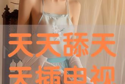 天天插在线视频,揭秘热门在线视频背后的精彩故事