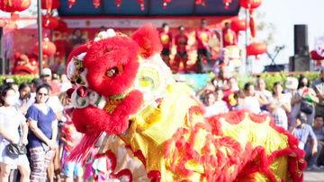 舞狮视频,传承与创新的艺术盛宴