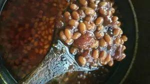 娱乐吃瓜酱地下室霉味